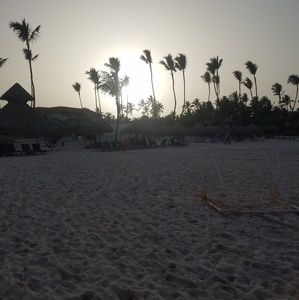 Meet your Posher, Samuel